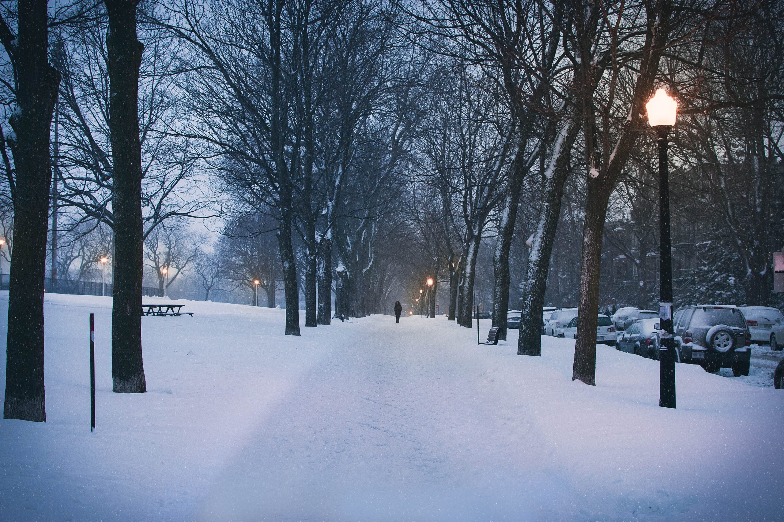 Winter is coming: how to manage seasonal depression & low mood